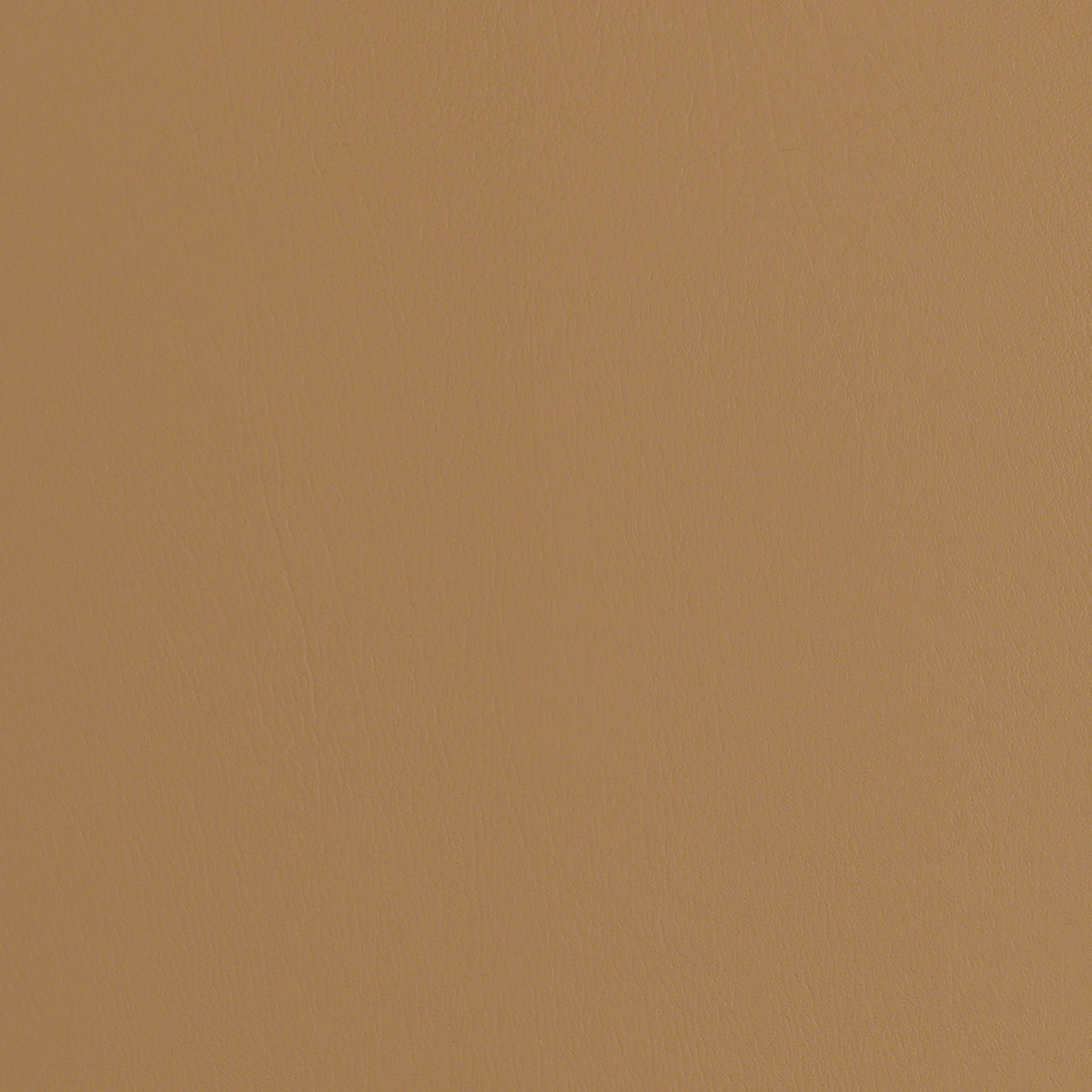 Bucksuede